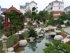 水景